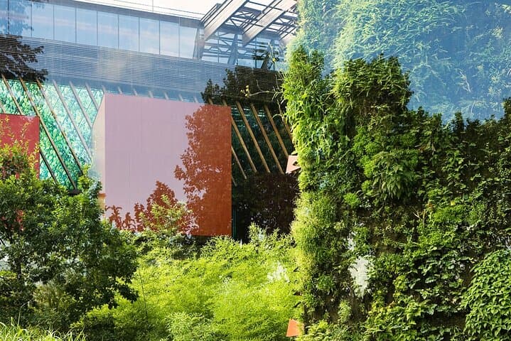 Quai Branly Museum: Flexible Entry & Audio Guide Near the Eiffel Tower photo 3