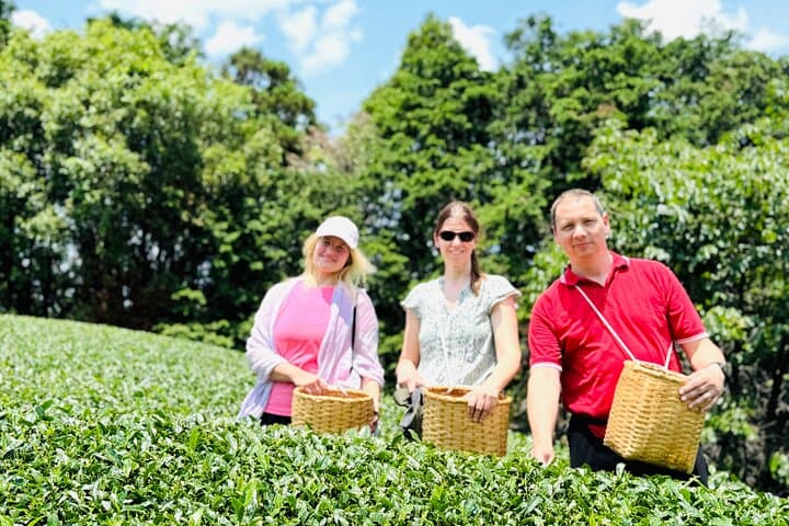 Uji and Wazuka Matcha Farm Private Guided Tour — Tea Fields, Ceremony & Farm Visit photo 2
