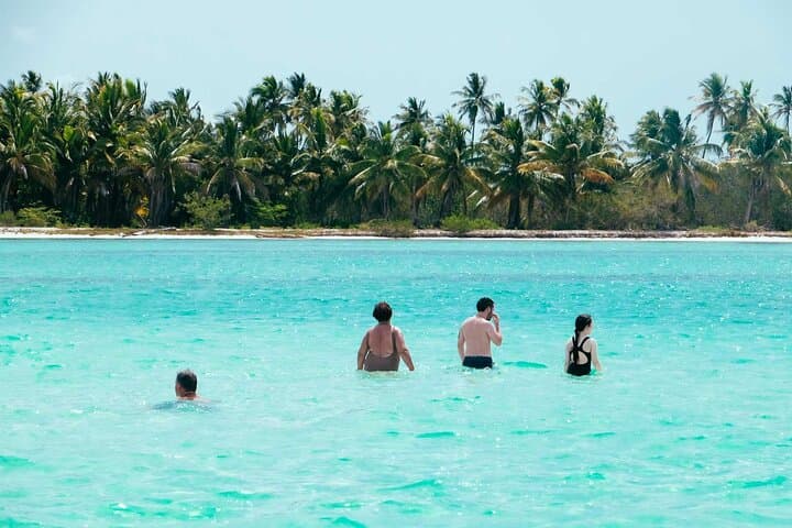 Saona Island Day Trip from Punta Cana: Natural Pools, Beach Lunch & Boat Transfer photo 1