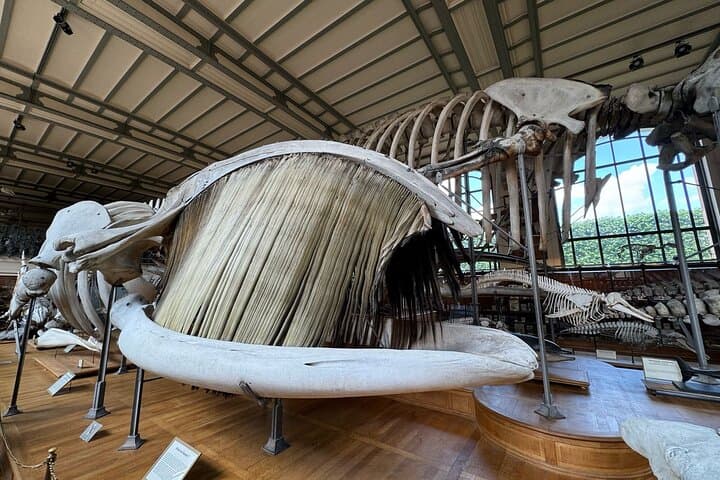 Paris Natural History Museum & Jardin des Plantes: Guide, Highlights & Tickets photo 4