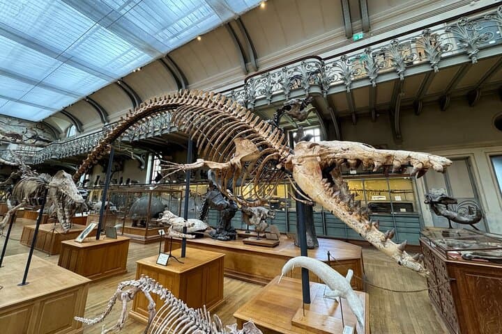 Paris Natural History Museum & Jardin des Plantes: Guide, Highlights & Tickets