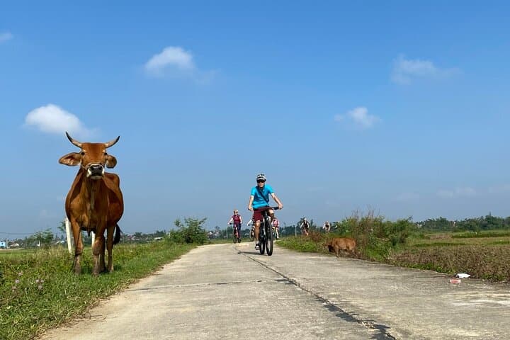 Hoi An Bites by Bike: Guided Cycling Food Tour of the Old Quarter photo 4