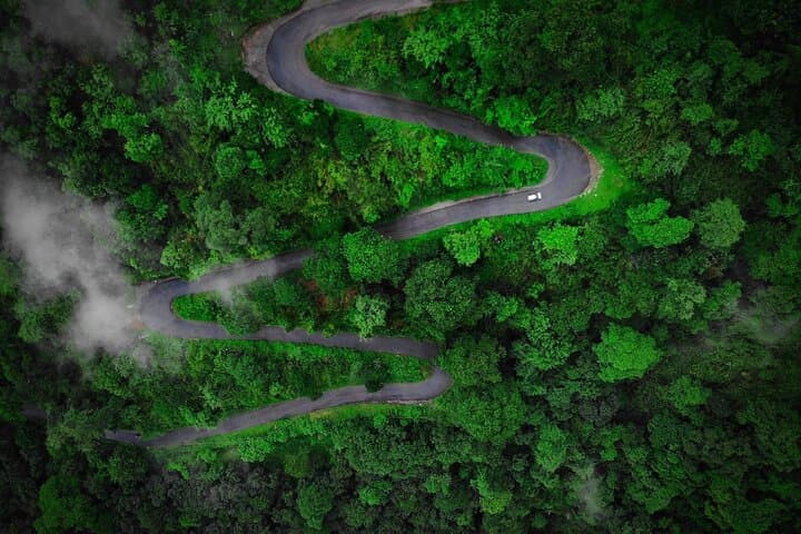 Luxury Kerala: 6-Day Private Munnar to Alleppey Tour photo 4