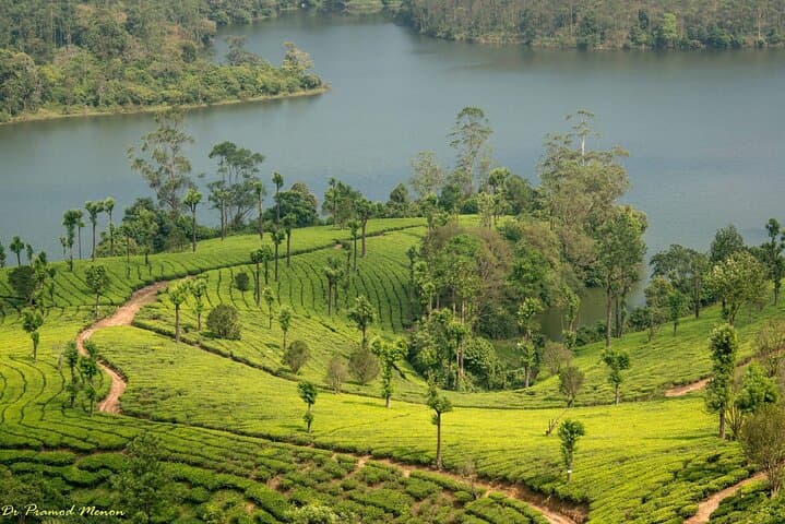 Luxury Kerala: 6-Day Private Munnar to Alleppey Tour photo 6