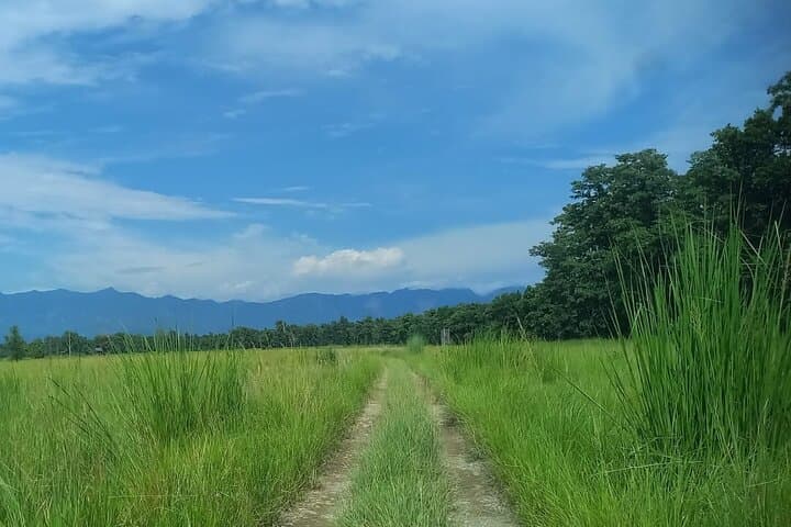Bardia National Park Full-Day Walking Safari — Track Tigers & Wild Elephants on Foot photo 3