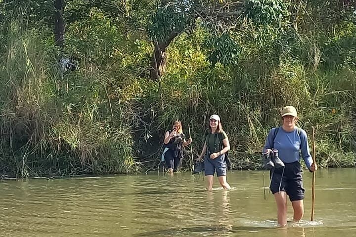Bardia National Park Full-Day Walking Safari — Track Tigers & Wild Elephants on Foot photo 2