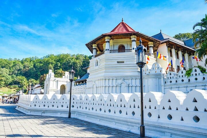 5-Day Private Sri Lanka Highlights Tour: Sigiriya, Kandy, Bentota & Wildlife photo 5