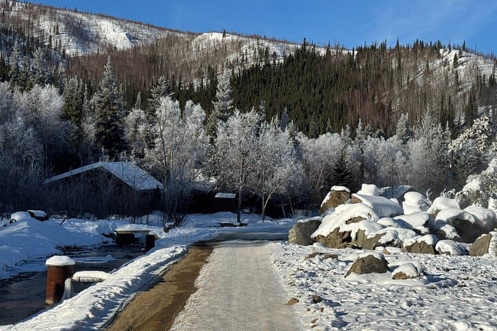 Chena Hot Springs Small Group Tour: Fairbanks Round-Trip to Natural Hot Springs & Ice Museum photo 5