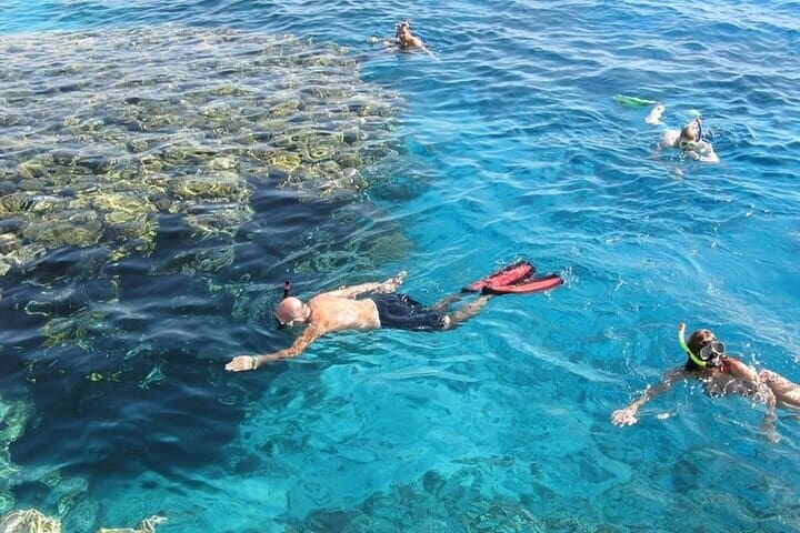 Full-Day Snorkeling Trip to Hamata & Qulaan Islands from Marsa Alam photo 4