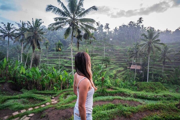 Ubud Monkey Forest, Tegalalang Rice Terraces & Tegenungan Waterfall: Private Day Tour photo 3