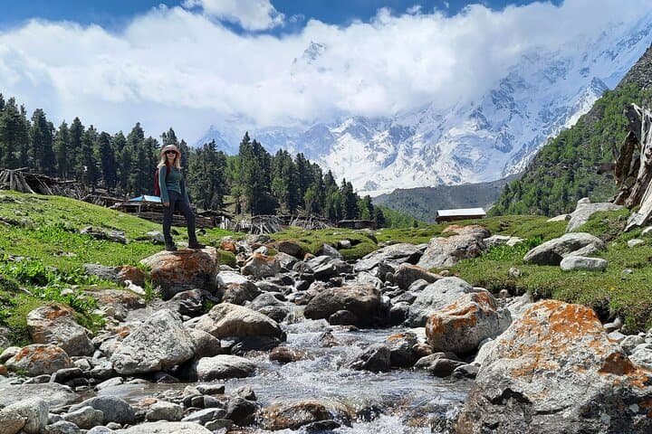 Nanga Parbat & Rakaposhi Base Camp Trek: 12-Day Fairy Meadows to Hunza Adventure