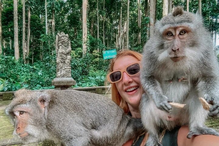 Ubud Monkey Forest, Tegalalang Rice Terraces & Tegenungan Waterfall: Private Day Tour photo 5