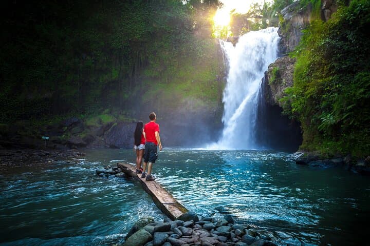 Ubud Monkey Forest, Tegalalang Rice Terraces & Tegenungan Waterfall: Private Day Tour photo 6