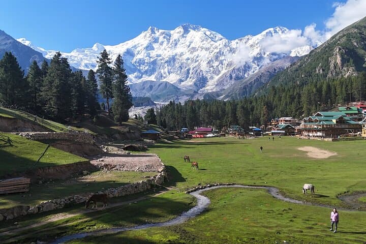 Nanga Parbat & Rakaposhi Base Camp Trek: 12-Day Fairy Meadows to Hunza Adventure photo 6