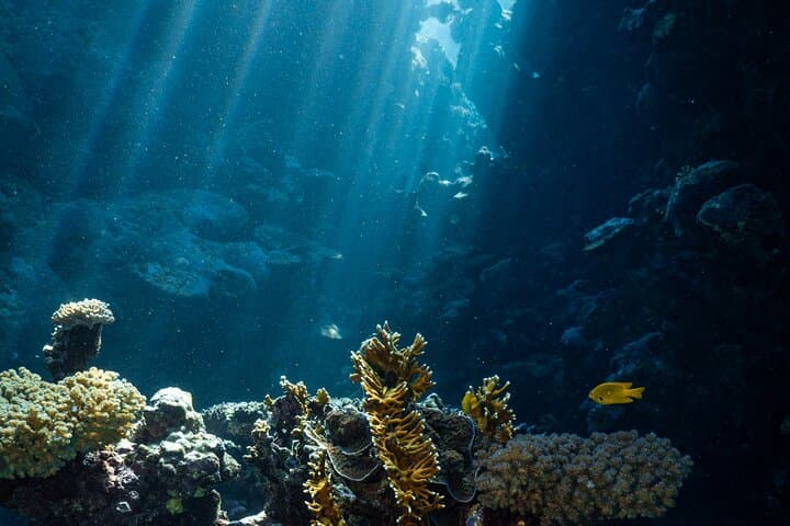 Jeddah Daily Snorkel Trip — Red Sea Reefs, Coral Islands & Wrecks photo 3