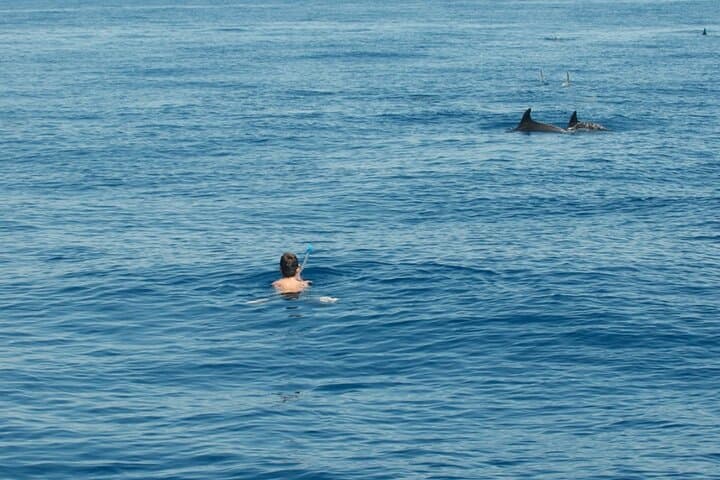 Explore Syracuse Coast and Spot Dolphins on a Captivating Boat Tour photo 2