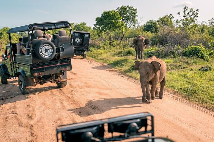 Aquila Big 5 Safari Day Tour and Wine Tasting from Cape Town photo 2