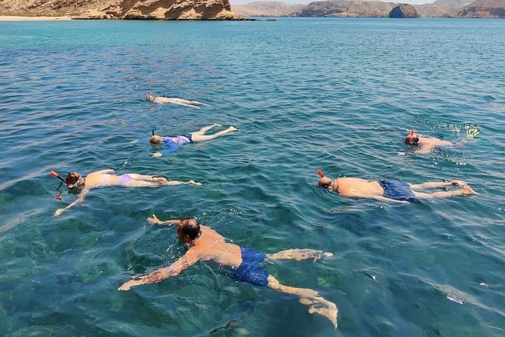 Dolphin Watching and Snorkeling off Muscat: Half-Day Marine Safari