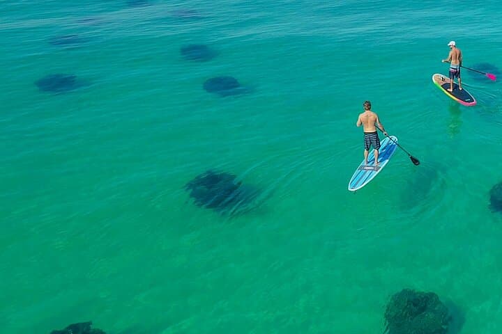 Speedboat Dolphin & Snorkel Adventure to Crab Island from Destin photo 4