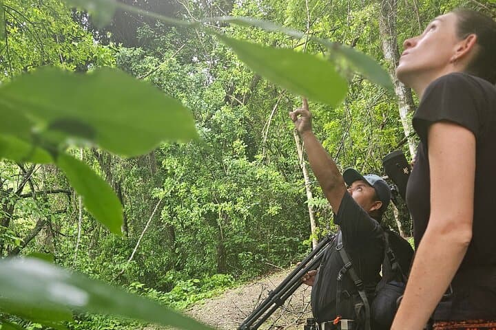 San Ignacio Resort Hotel Birdwatching: 90-Minute Jungle Backyard Tour photo 3