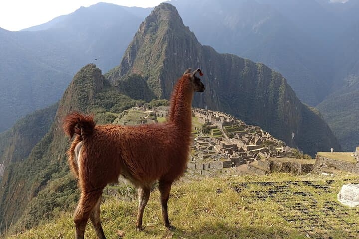 Private Guided Tour of Machu Picchu from Aguas Calientes — Slow, Photo-Friendly Visit photo 4