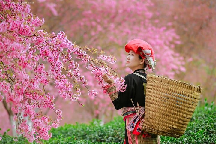 2-Day Sapa Homestay Trek: Majestic Valleys, Hoang Lien Son & Local Life