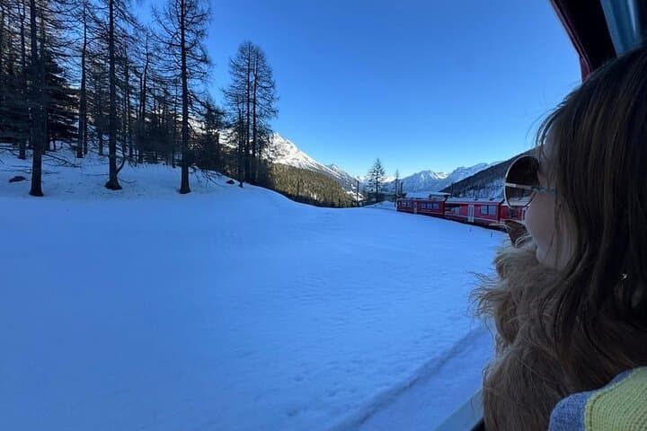 Bernina Express Day Trip from Milan to St. Moritz — Scenic Alpine Train Journey photo 3