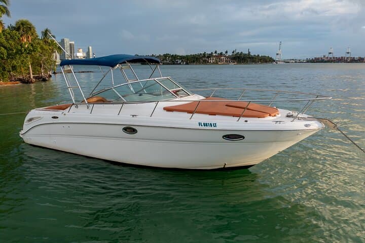Miami Private Boat Rental: 4-Hour Sea Ray Charter on Biscayne Bay photo 3