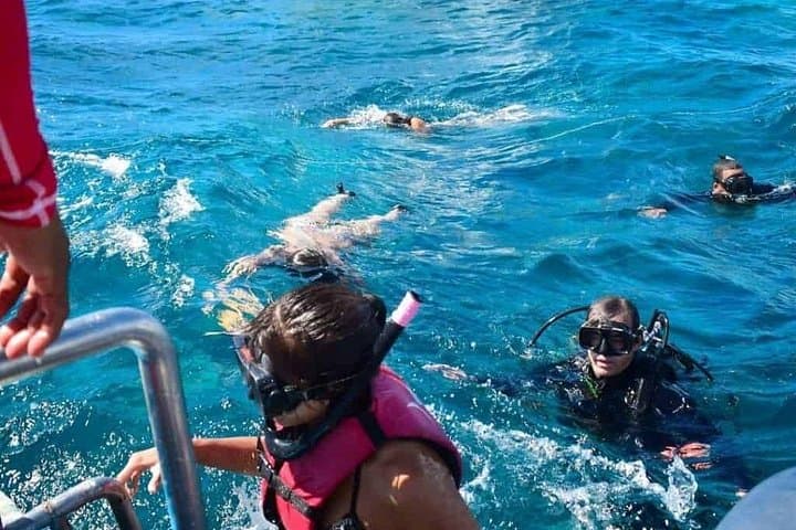 Full-Day Catalina Island Snorkeling Excursion from Punta Cana — Catamaran, Reefs & Beach Lunch photo 4