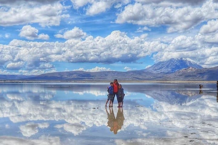 Exploring Salinas and Aguada Blanca Reserve: Andean Salt Flats, Flamingos & Volcano Views photo 3