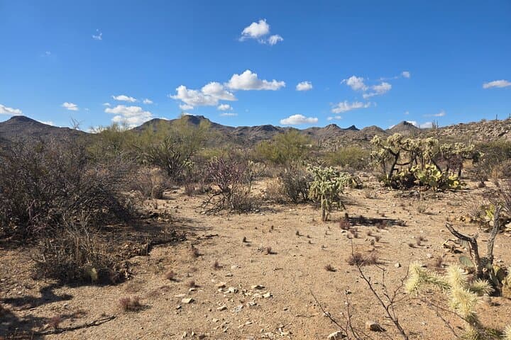 Guided Hikes at Ritz Dove Mountain & Totolita: Sonoran Desert Trails photo 4