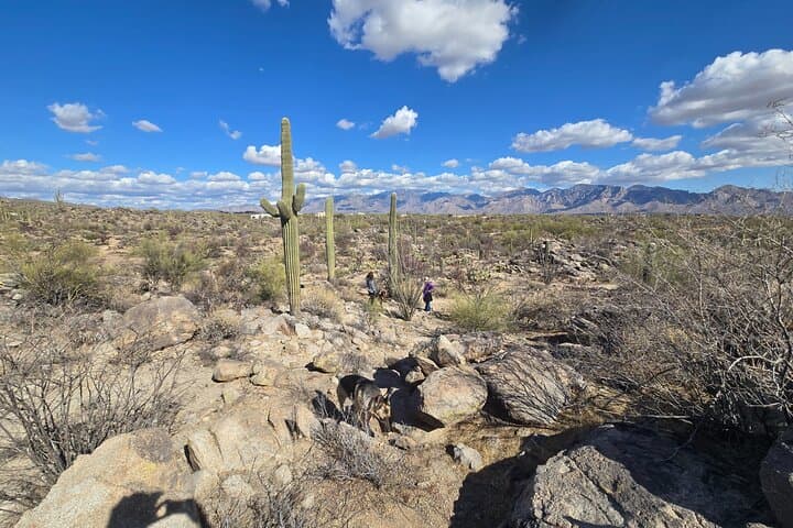 Guided Hikes at Ritz Dove Mountain & Totolita: Sonoran Desert Trails photo 5