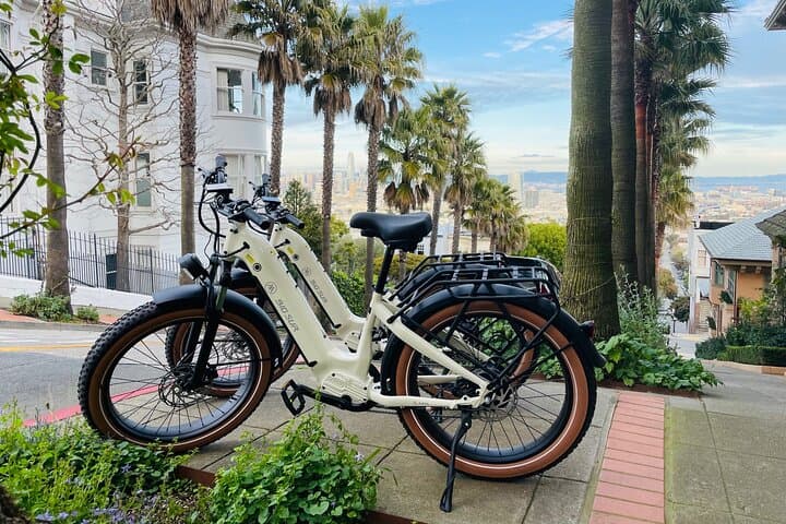 Summer of Love San Francisco Guided eBike Tour — Haight-Ashbury to Golden Gate Park photo 5