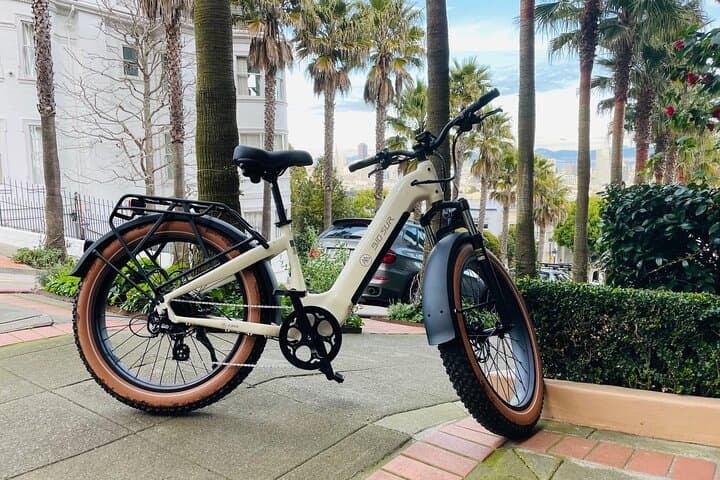 Summer of Love San Francisco Guided eBike Tour — Haight-Ashbury to Golden Gate Park photo 6