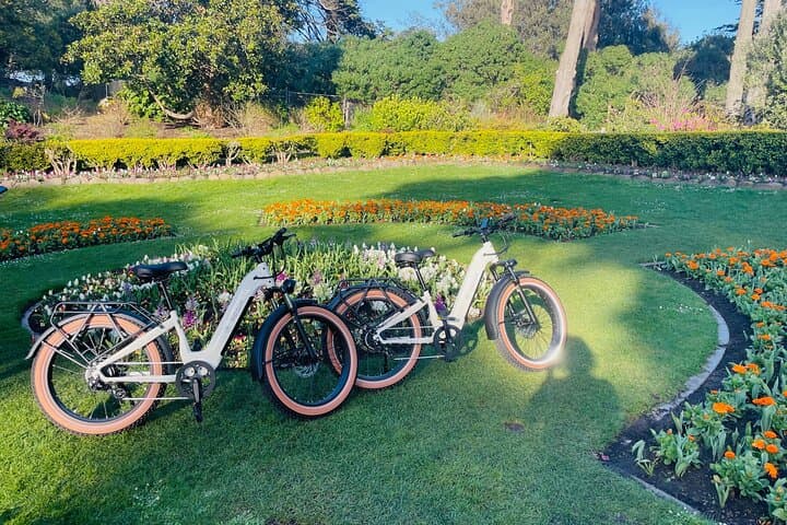 Summer of Love San Francisco Guided eBike Tour — Haight-Ashbury to Golden Gate Park photo 2