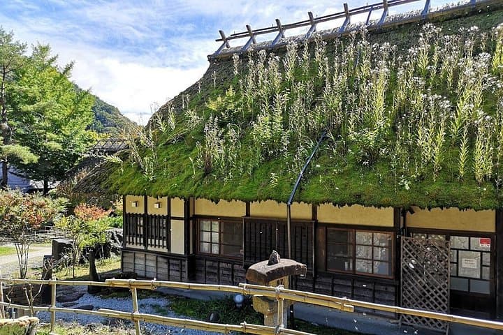 Mount Fuji Day Trip from Tokyo: Lake Kawaguchi, Chureito Pagoda & Oshino Hakkai photo 3