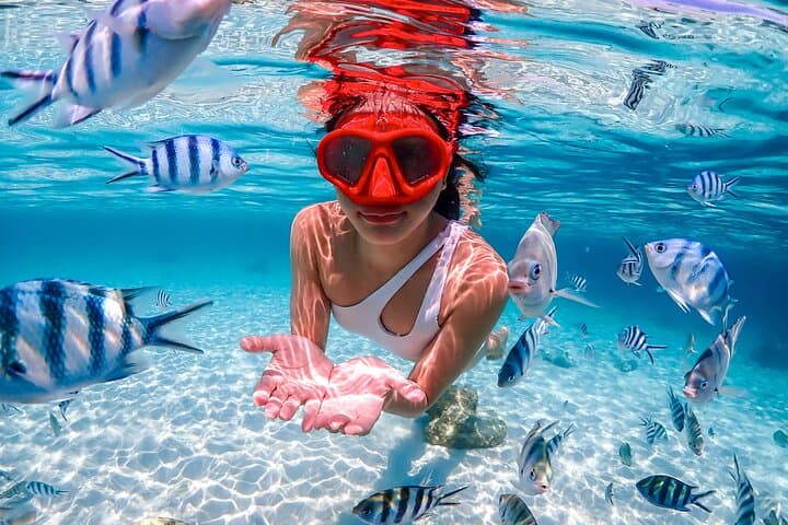Pattaya to Nemo Island: Snorkel, Drone Photos & Buddha Mountain Day Trip