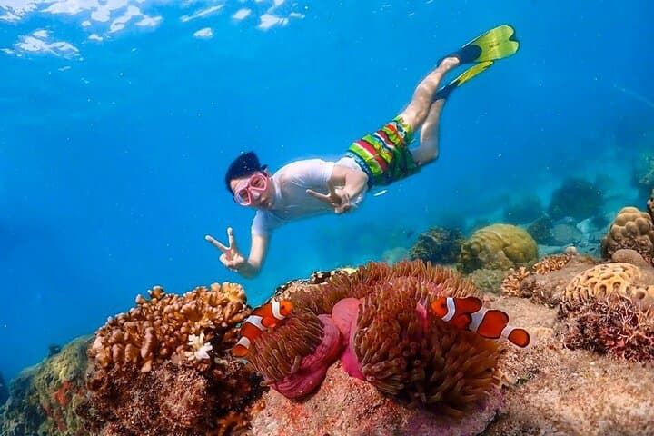 Pattaya to Nemo Island: Snorkel, Drone Photos & Buddha Mountain Day Trip photo 3
