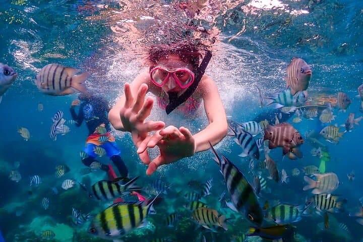 Pattaya to Nemo Island: Snorkel, Drone Photos & Buddha Mountain Day Trip photo 6
