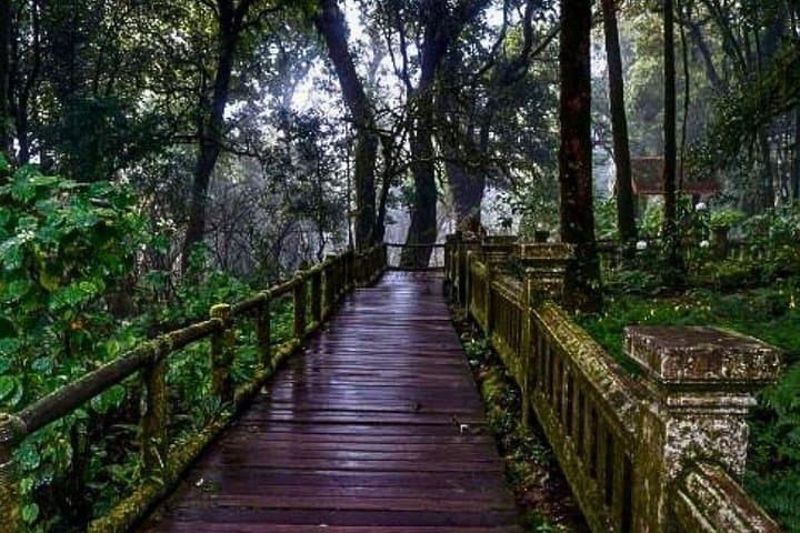 Doi Inthanon Summit, Royal Pagodas & Kiew Mae Pan Hike — Full-Day Chiang Mai Nature Tour photo 4
