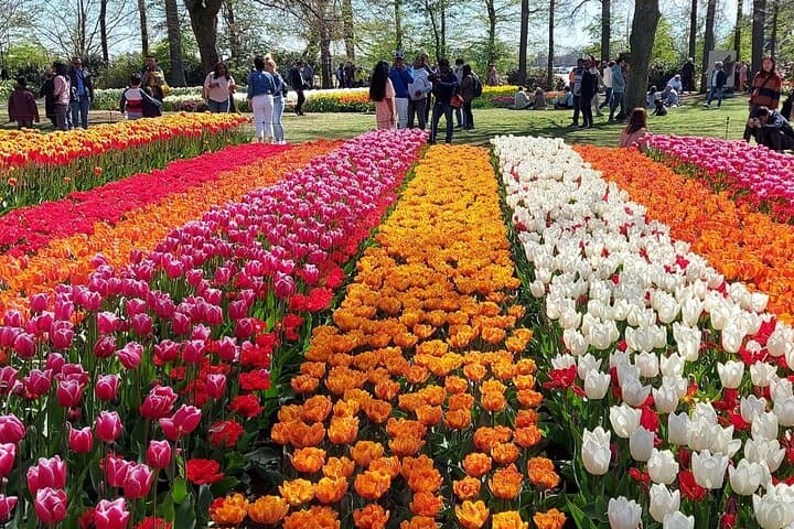 Private 3-Hour Custom Amsterdam Car Tour — Keukenhof, Zaanse Schans & Volendam photo 4