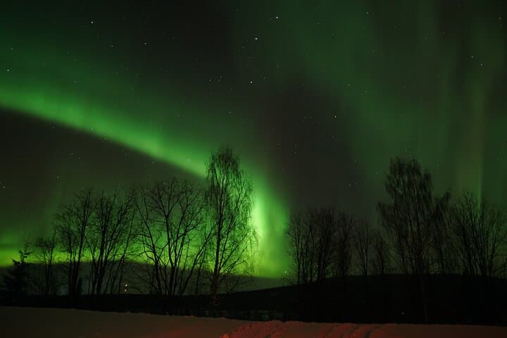 Unlimited Northern Lights Chase from Rovaniemi — Aurora Tour with Flexible Start photo 5