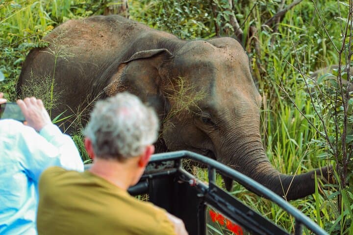 8-Day Private Sri Lanka Tour: Sigiriya, Tea Country & Yala Safari with Chauffeur photo 2