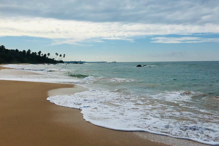 8-Day Private Sri Lanka Tour: Sigiriya, Tea Country & Yala Safari with Chauffeur photo 6