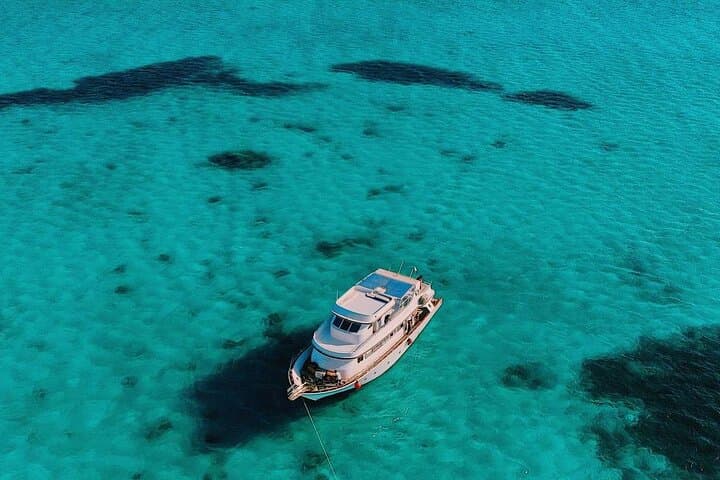 Hurghada Dolphin House Boat Trip — Red Sea Snorkel & Dolphin Encounter photo 2