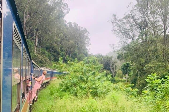 8-Day Private Sri Lanka Tour: Sigiriya, Tea Country & Yala Safari with Chauffeur photo 5