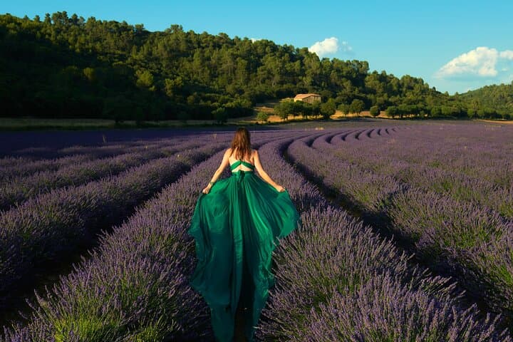 Valensole Lavender Field Photoshoot — Professional Photo Session in Provence photo 1