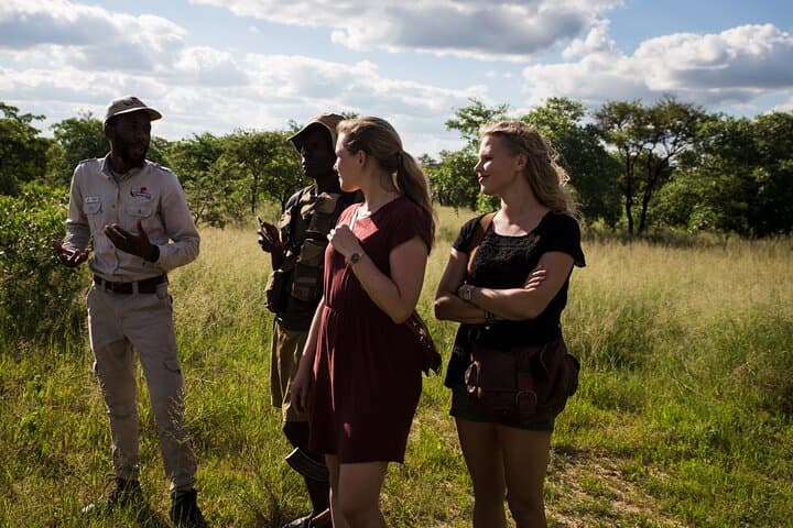 Matobo Hills Cave Expedition: Half-Day San Rock Art & Granite Views photo 4