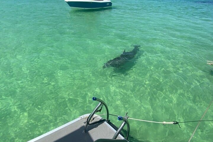 Crab Island Pontoon Party: Paddleboard, Lily Pad & Cooler in Destin photo 3
