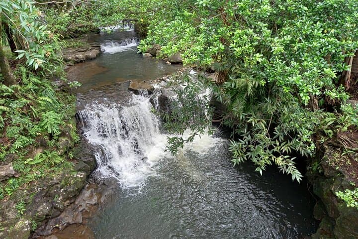 Southwest Mauritius Day Tour — Chamarel, Black River Gorges & Grand Bassin photo 6